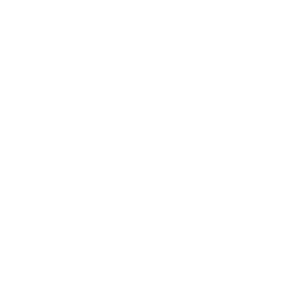 idea